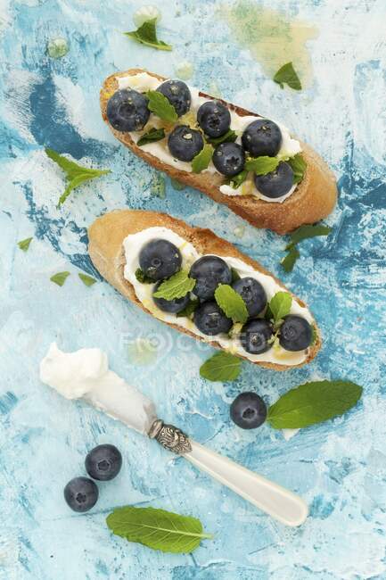 Crostini with mascarpone, blueberries, lemon zest and mint — Stock Photo