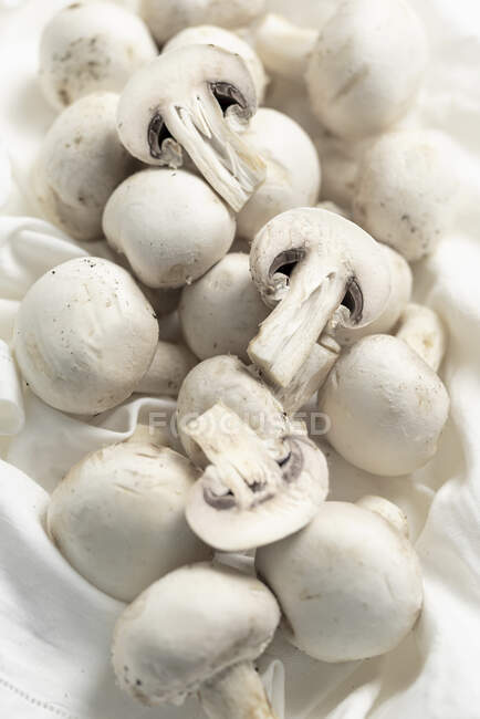 Close-up de deliciosos cogumelos frescos — Fotografia de Stock