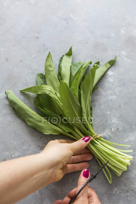 Un bouquet de feuilles fraîches d'ail sauvage — Photo de stock