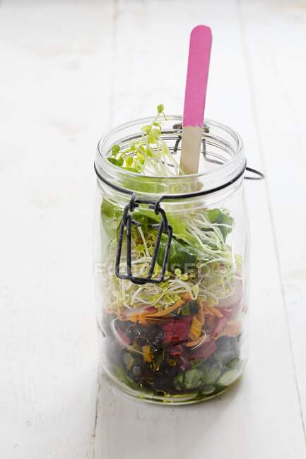 Salad in a glass jar with lambs lettuce, chard, carrots, radishes, lentil sprouts and pea sprouts — Stock Photo