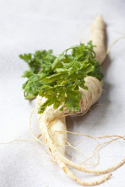 Fresh green and white asparagus on a light background — Stock Photo