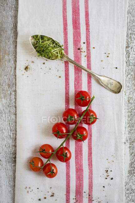 Cherry tomatoes on the vine and a spoonful of cress on a tea towel — Stock Photo