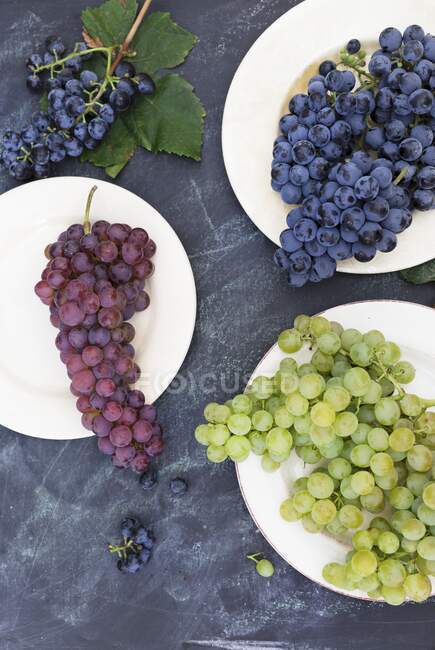Various types of grapes (top view) — Stock Photo