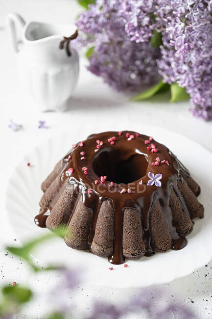 Close-up shot of delicious Homemade chocolate glazed cake — Stock Photo
