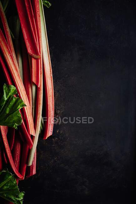 Tiges fraîches de rhubarbe sur un fond sombre — Photo de stock