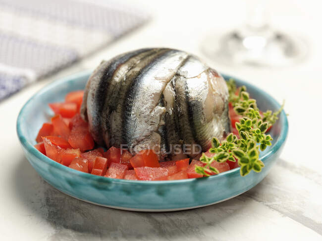 Anchovy pie and on diced tomatoes with herbs — Stock Photo