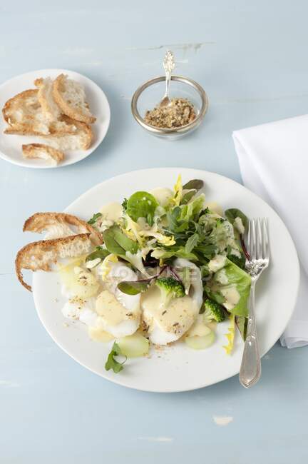 Zander mit Salat und Brokkoli — Stockfoto