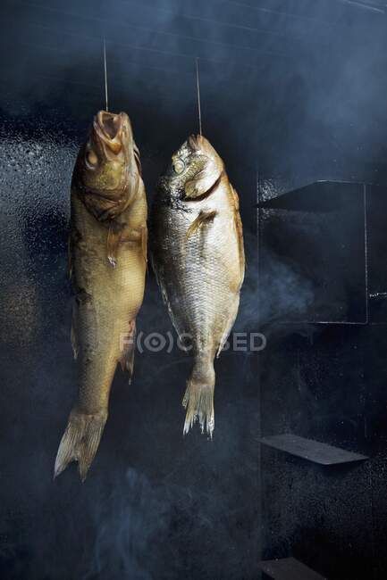 Smoked fish in a smokehouse — Stock Photo