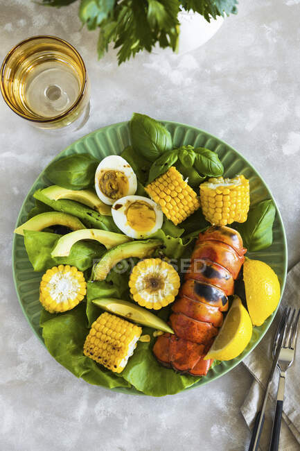 Жареный лобстер, кукуруза и салат из авокадо — стоковое фото