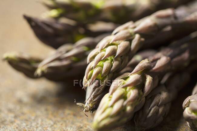 Purple asparagus (close up) — Stock Photo