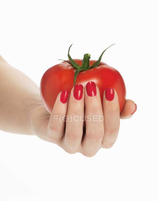 La mano di una donna con le unghie rosse che tiene un pomodoro — Foto stock