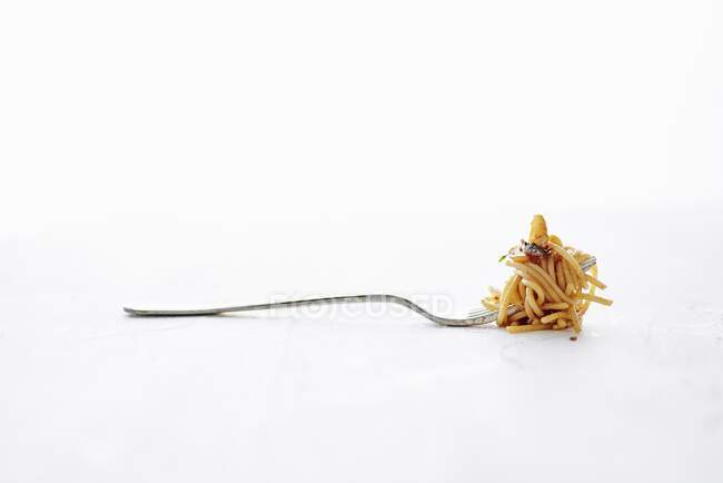 Um garfo cheio de massa de espaguete picante com anchovas e alho — Fotografia de Stock