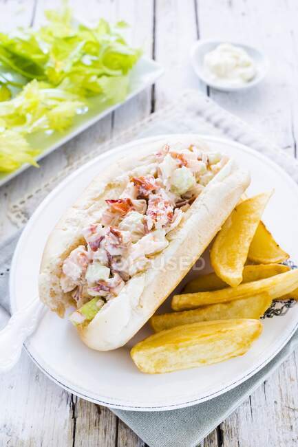 A lobster roll with french fries and salad (USA) — Stock Photo