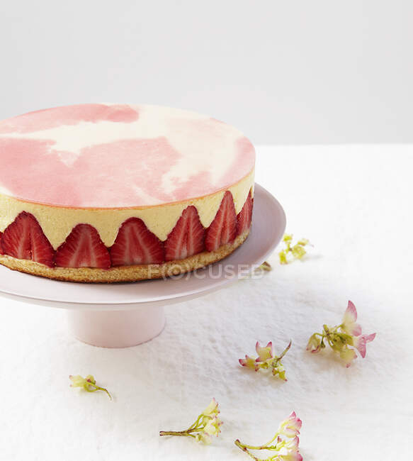 Fraisier, a French strawberry cake — Stock Photo