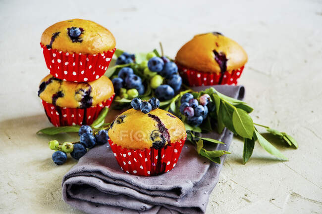Muffins de mirtilo selvagens com bagas frescas — Fotografia de Stock