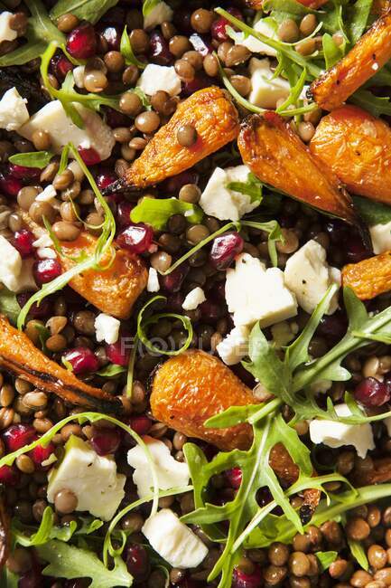Roasted baby carrots with lentils, Wensleydale cheese and rocket (edge to edge) — Stock Photo