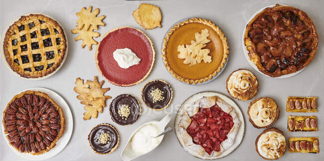 Various autumnal sweet pies and tarts — Stock Photo
