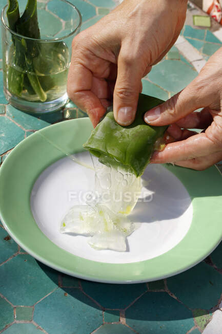 Aloe vera gel vue rapprochée — Photo de stock