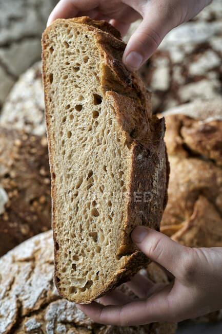 Hände, die die Hälfte des Brotes halten — Stockfoto