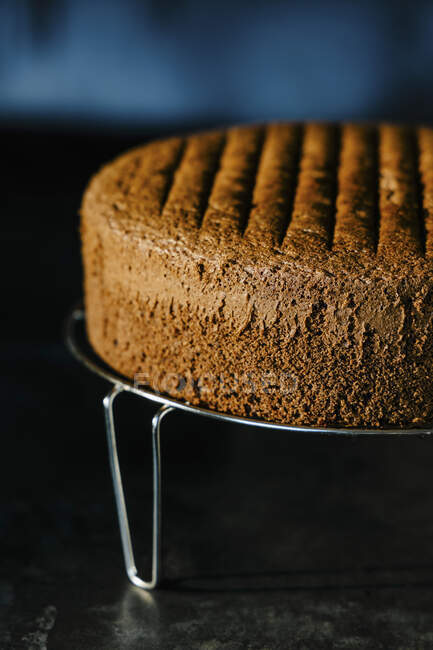Gâteau au chocolat éponge sur pied — Photo de stock