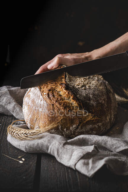 Frisch gebackenes Brot mit frischem Weizen auf schwarzem Hintergrund — Stockfoto