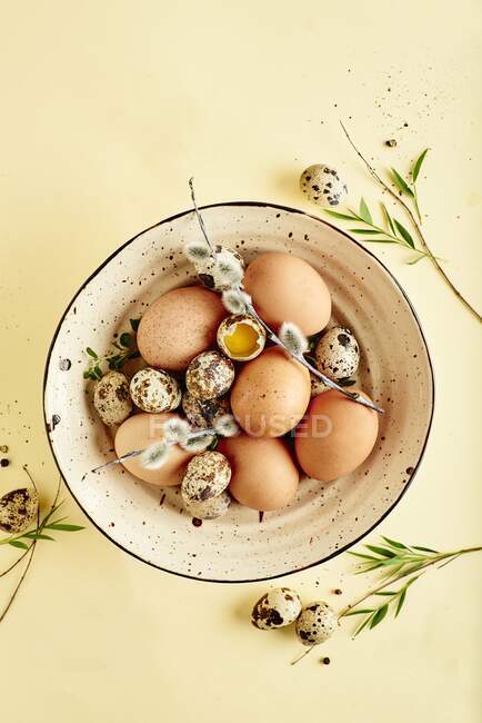 Fresh chicken and quail eggs in bowl with branches and leaves — Stock Photo