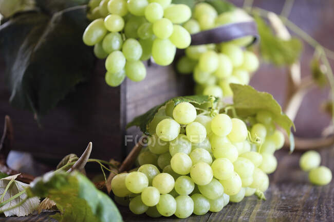 An arrangement of green grapes — Stock Photo