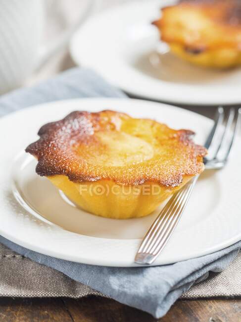 Close-up shot of delicious Pudding tartlets from Portugal — Stock Photo