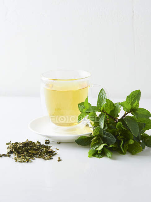 Chá de hortelã, hortelã fresca e folhas de chá secas — Fotografia de Stock