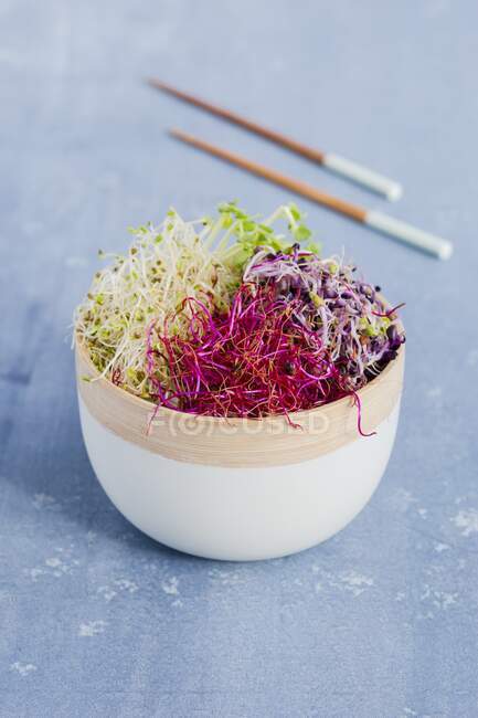 Sprout salad in a tall bowl — Stock Photo