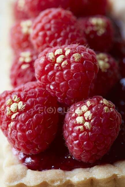 Raspberry tart sprinkled with gold dust (close up) — Stock Photo