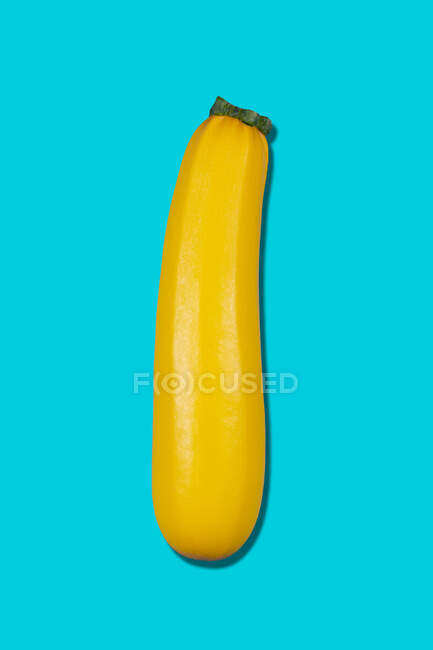 Calabacín amarillo sobre fondo azul - foto de stock