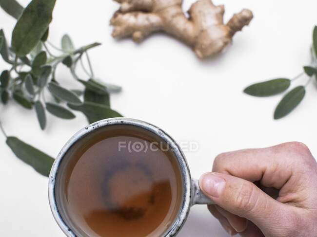 Uma mão segurando uma xícara de chá de sálvia e gengibre (visto de cima) — Fotografia de Stock