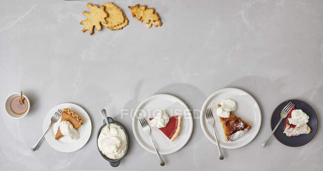 Slices of pumpkin pie, cranberry pie, tarte tatin and rhubarb galette on plates — Stock Photo