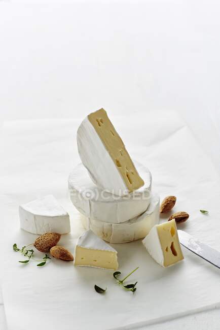 Natureza morta de diferentes variedades de queijo Camembert — Fotografia de Stock