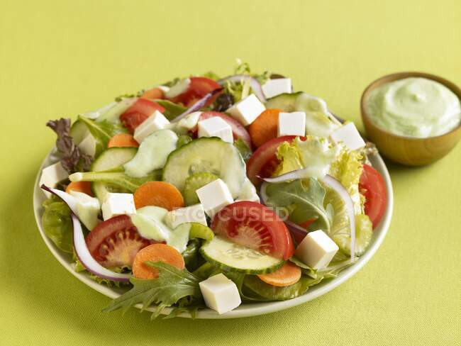 Vegetable salad with tofu cubes and avocado dressing — Stock Photo