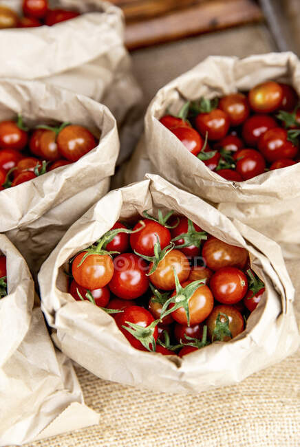 Pomodori ciliegia in sacchetti di carta — Foto stock