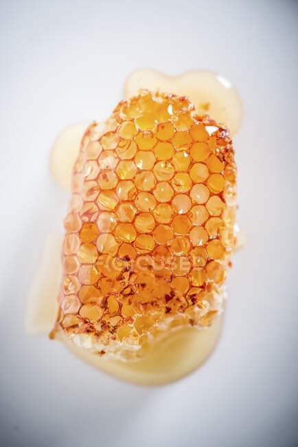 Favo de mel no fundo branco vista de close-up — Fotografia de Stock