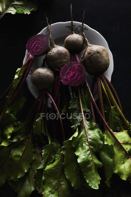 Frisches Bio-Gemüse auf schwarzem Hintergrund — Stockfoto