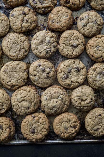 Cookies aux pépites de chocolat sur une plaque à pâtisserie — Photo de stock