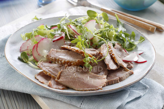 Peito de ganso finamente cortado com salada de rabanete e foguete — Fotografia de Stock
