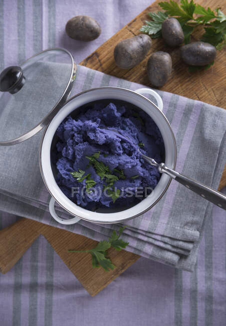 Puré de papas veganas moradas de la variedad de papas 'Blue Congo' - foto de stock