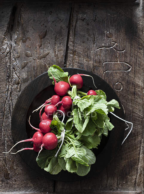 Two bunches of radishes — Stock Photo