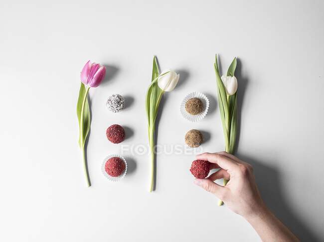 Varios pralinés dispuestos entre tulipanes (visto desde arriba) - foto de stock