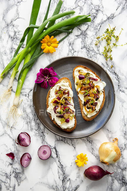 Bread with cream cheese and sauteed onions — Stock Photo