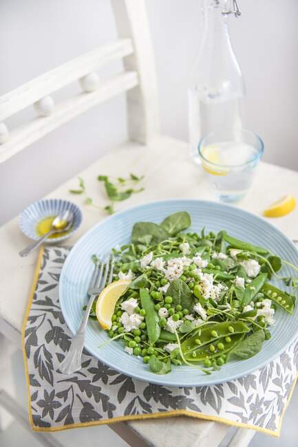 Salad with peas, pea shots, beans and feta — Stock Photo