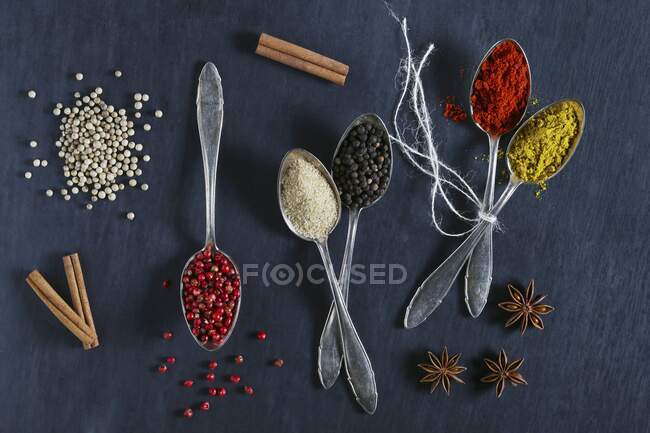 Various spices on spoons — Stock Photo