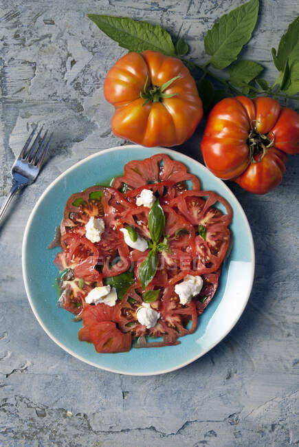Salad of tomato sauce. top view on a plate, on rustic background — Stock Photo