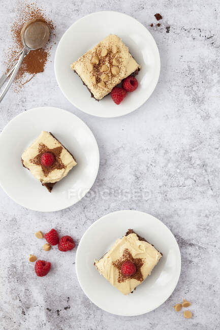 Peanut butter brownies on white plate — Stock Photo