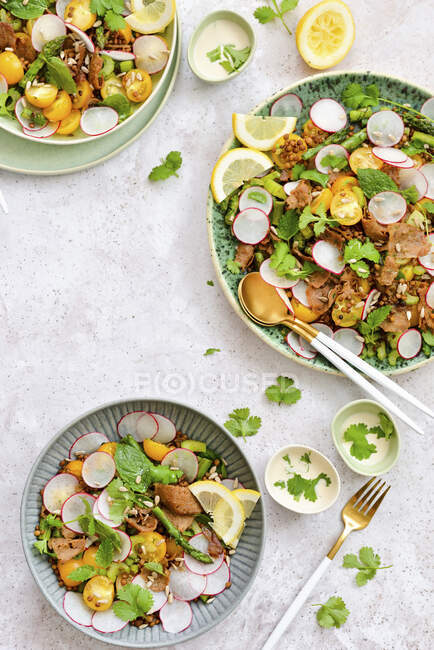 Healthy salad with beef, lettuce, and radishes — Stock Photo